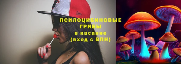 марки nbome Заводоуковск