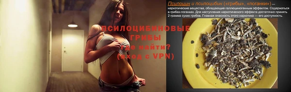 дурь Алзамай