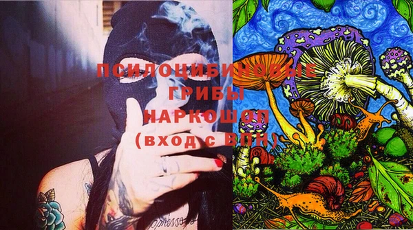 крисы Алексеевка