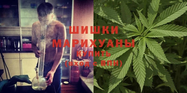 крисы Алексеевка