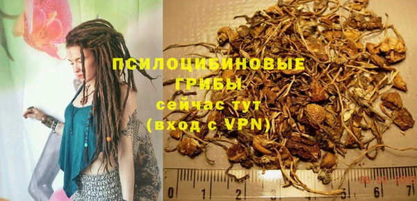 прущие крисы Алексин