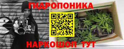 ешки Кинель
