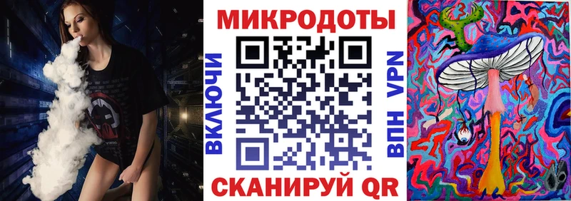 Галлюциногенные грибы Psilocybine cubensis  Миасс 