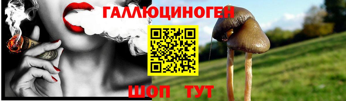 Псилоцибиновые грибы мухоморы Миасс